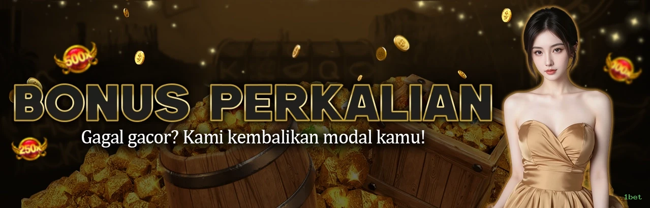 Login Interface